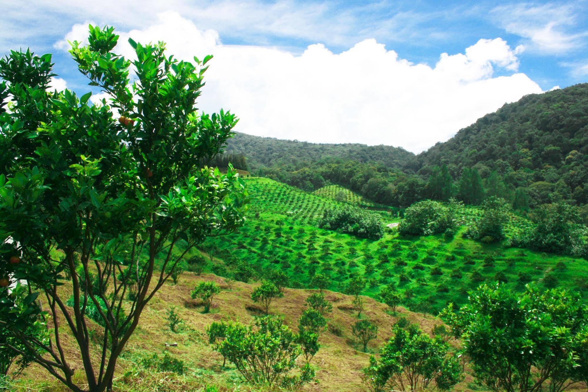 Taman Simalem Resort Tongging Экстерьер фото